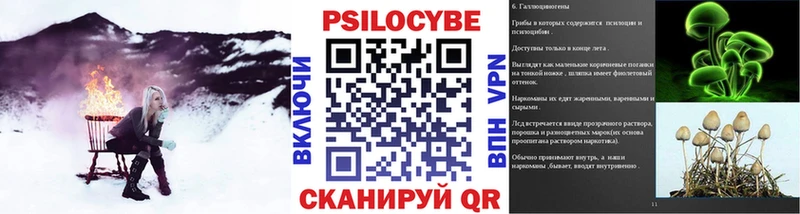 где продают наркотики  Иваново  Галлюциногенные грибы Psilocybine cubensis 